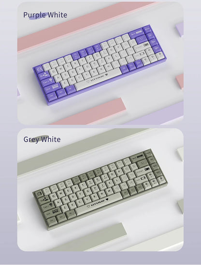 AJAZZ AK680 Mechanical Gaming Keyboard (Hot Swap / Wireless)