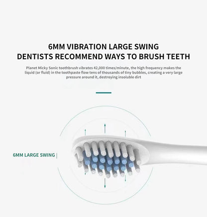Sonic Electric Toothbrush (6 Modes, USB Rechargeable, IPX7 Waterproof)