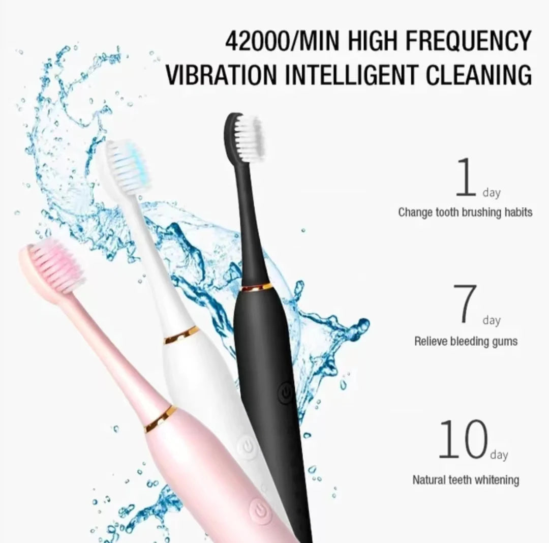 Sonic Electric Toothbrush (6 Modes, USB Rechargeable, IPX7 Waterproof)