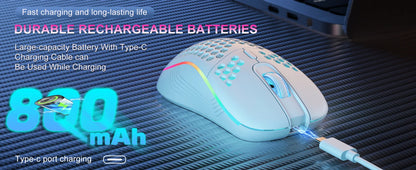 2.4G Wireless Gaming Mouse (RGB Honeycomb Design, Rechargeable)