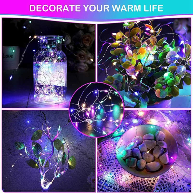 Battery-Powered LED Fairy String Lights (Copper Wire)