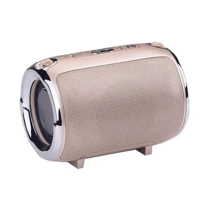 Rugged Portable Subwoofer Speaker