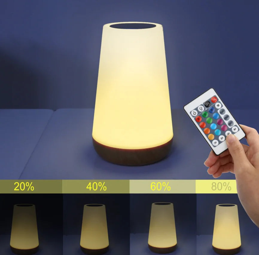 Wood Finish LED Touch Light with Remote