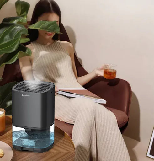 Compact Home Dehumidifier
